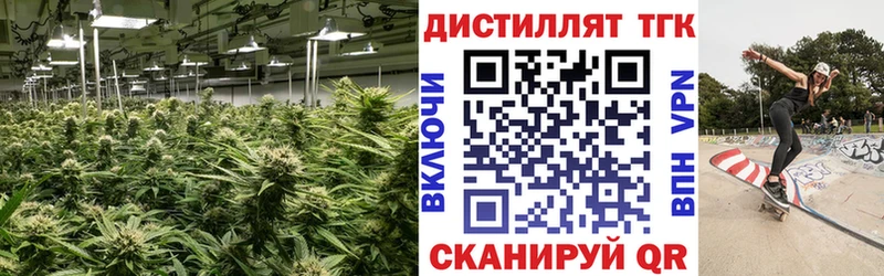 ТГК концентрат  Купить  Тосно 