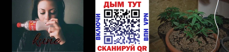 Купить закладки  Тосно  Марихуана MAZAR 